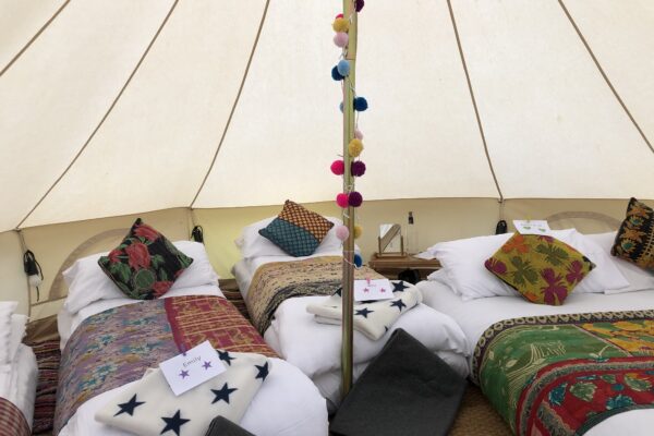 Family Complete Snoozing Bell...